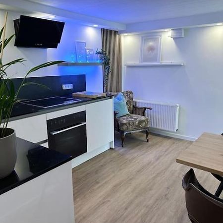 Business Apartment Naehe Bonn كونغسوينتر المظهر الخارجي الصورة