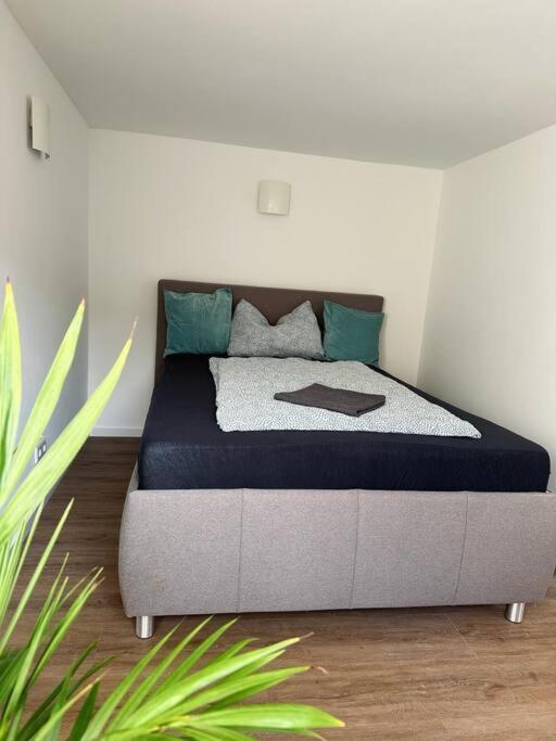 Business Apartment Naehe Bonn كونغسوينتر المظهر الخارجي الصورة