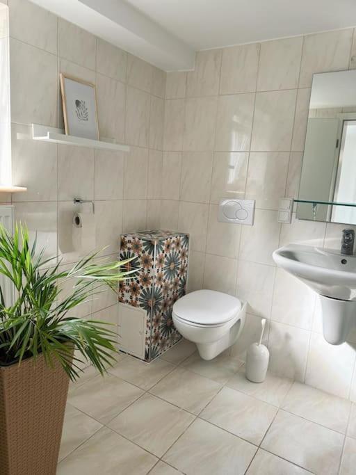 Business Apartment Naehe Bonn كونغسوينتر المظهر الخارجي الصورة